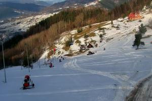 Szczawnica Palenica Szafranówka