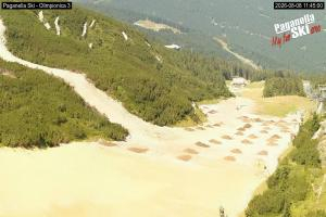 Kamera: Andalo - Paganella Pista Olimpionica Andalo - Paganella Andalo - Paganella Pista Olimpionica