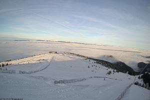 Kamera: Koralpe Steinschneider Koralpe Koralpe Steinschneider