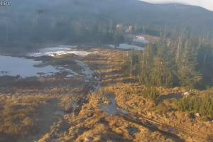 Kamera: Szrenica Ski Arena Widok na stok Szklarska Poręba Szrenica Ski Arena Widok na stok