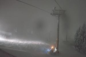 Kamera: Zieleniec Zieleniec SKI Arena - Widok z górnej stacji Zieleniec Zieleniec Zieleniec SKI Arena - Widok z górnej stacji