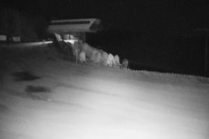 Tylicz Master Ski Widok na ośrodek