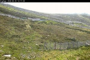 Cairgorm Cairgorm Zigzags Webcam