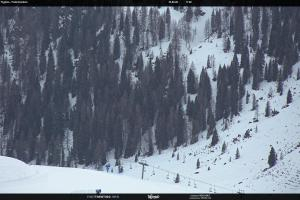 S. Martino di Castrozza / Passo Rolle S. Martino di Castrozza / Passo Rolle Tognola - Pista Scandola