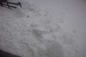 Rodelbahn Rodelbahn - Katschberg 