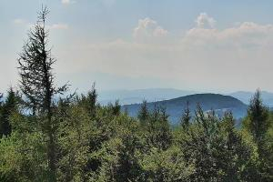 Kamera: Jaworzyna Krynicka Widok na szczyt Jaworzyny (1114 m n.p.m) Krynica Jaworzyna Krynicka Widok na szczyt Jaworzyny (1114 m n.p.m)