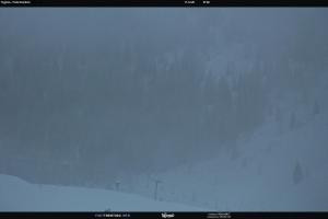 Kamera: S. Martino di Castrozza / Passo Rolle Tognola - Pista Scandola S. Martino di Castrozza / Passo Rolle S. Martino di Castrozza / Passo Rolle Tognola - Pista Scandola