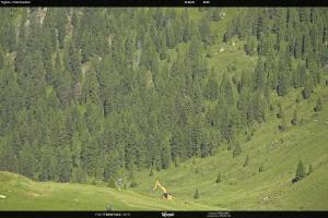 Kamera: S. Martino di Castrozza / Passo Rolle Tognola - Pista Scandola S. Martino di Castrozza / Passo Rolle S. Martino di Castrozza / Passo Rolle Tognola - Pista Scandola