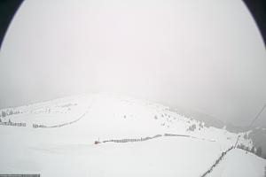 Kamera: Koralpe Steinschneider Koralpe Koralpe Steinschneider