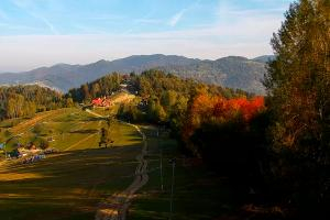 Szczawnica Palenica Szafranówka