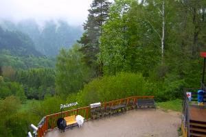 Kamera: Palenica Widok na stok Szczawnica Palenica Widok na stok