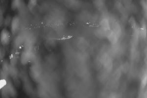 Kamera: Ufo-Ski Ufo-Ski Bukowina Tatrzańska Ufo-Ski Ufo-Ski