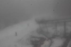 Stronie Śląskie Czarna Góra Zjeżdżalnia grawitacyjna Czarna Żmija