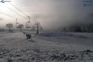 Rejdice Rejdice Livecam