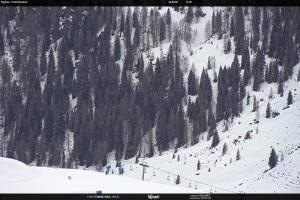 S. Martino di Castrozza / Passo Rolle S. Martino di Castrozza / Passo Rolle Tognola - Pista Scandola