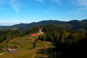 Kamera: Palenica Szafranówka Szczawnica Palenica Szafranówka
