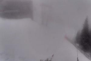 Jasna Jasna - Chopok Kosodrevina - 1.488 m n.m.