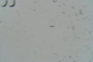 Zakopane Kasprowy Wierch Hala Gąsienicowa