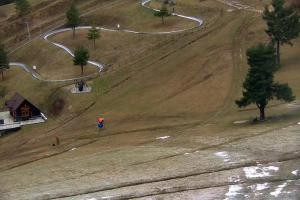 Kamera: Palenica Szafranówka Szczawnica Palenica Szafranówka