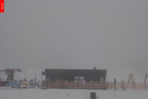 Kamera: Malá Úpa Kamera Pomezky, 1 050 m n.p.m. Malá Úpa Malá Úpa Kamera Pomezky, 1 050 m n.p.m.