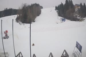 Ustrzyki Dolne Gromadzyń Dolna Stacja