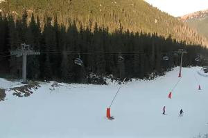 Zverovka Tatrawest s.r.o. Livecam