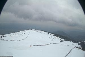 Kamera: Koralpe Steinschneider Koralpe Koralpe Steinschneider