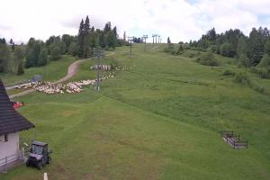 Zakopane Witów Ski Widok na stok