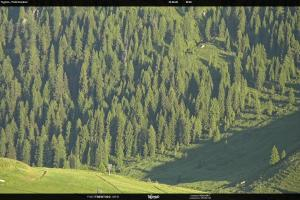 Kamera: S. Martino di Castrozza / Passo Rolle Tognola - Pista Scandola S. Martino di Castrozza / Passo Rolle S. Martino di Castrozza / Passo Rolle Tognola - Pista Scandola