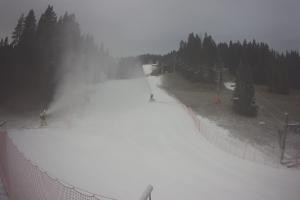 Kamera: Tylicz Ski Widok na stok Tylicz Tylicz Ski Widok na stok