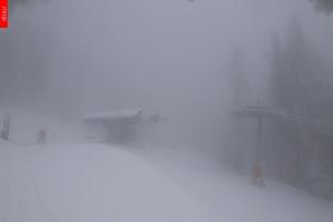 Kamera: Černý Důl Černý Důl Černý Důl Černý Důl Černý Důl