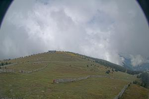 Kamera: Koralpe Steinschneider Koralpe Koralpe Steinschneider