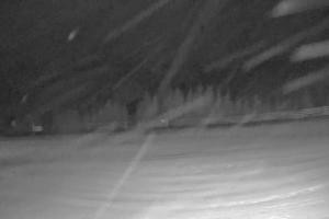 Jasna Jasna - Chopok Priehyba II. - 1.342 m n. m.