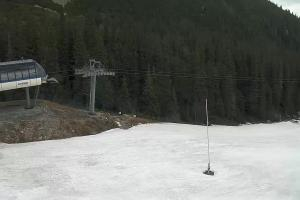 Zverovka Tatrawest s.r.o. Livecam