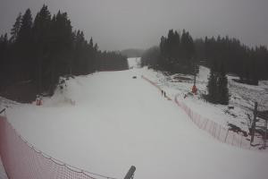 Kamera: Tylicz Ski Widok na stok Tylicz Tylicz Ski Widok na stok