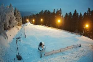 Myślenice Myślenice SN Widok na stok dla początkujących