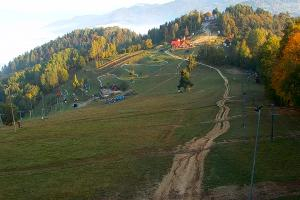 Szczawnica Palenica Szafranówka