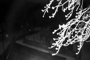 Kamera: Magura Małastowska Widok na stok Gorlice-Małastów Magura Małastowska Widok na stok