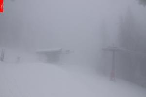 Kamera: Černý Důl Černý Důl Černý Důl Černý Důl Černý Důl