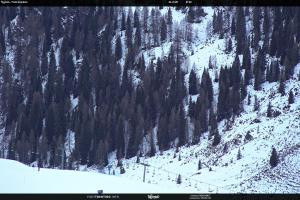 S. Martino di Castrozza / Passo Rolle S. Martino di Castrozza / Passo Rolle Tognola - Pista Scandola