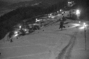 Szczawnica Palenica Szafranówka