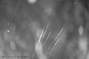 Kamera: Szelment WOSiR Wyciąg Szelment Szelment WOSiR Wyciąg