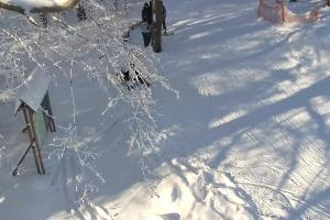 Kamera: Magura Małastowska Widok na stok Gorlice-Małastów Magura Małastowska Widok na stok