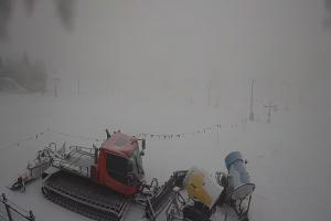 Bukowina Tatrzańska Olczański Wierch Zwyrtlik