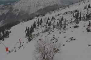 Kamera: Jasna - Chopok Predné Dereše - 1.646 m n. m. Jasna Jasna - Chopok Predné Dereše - 1.646 m n. m.