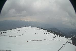 Kamera: Koralpe Steinschneider Koralpe Koralpe Steinschneider