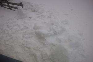 Rodelbahn Rodelbahn - Katschberg 