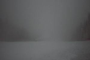 Kamera: Dwie Doliny Wierchomla - górna stacja Wierchomla-Muszyna Dwie Doliny Wierchomla - górna stacja