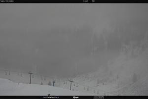 Kamera: S. Martino di Castrozza / Passo Rolle Tognola - Pista Scandola S. Martino di Castrozza / Passo Rolle S. Martino di Castrozza / Passo Rolle Tognola - Pista Scandola