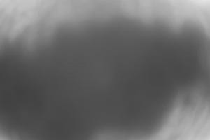 Kamera: Dwie Doliny Szałas Wierchomla-Muszyna Dwie Doliny Szałas